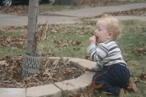 Eating leaves