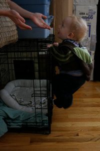 Climbing at 6 months