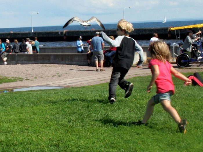 Proven Ways To Grow Natural Hair Fast