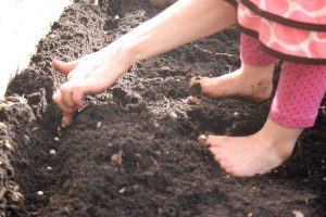 Growing food