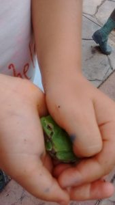 Understanding nature